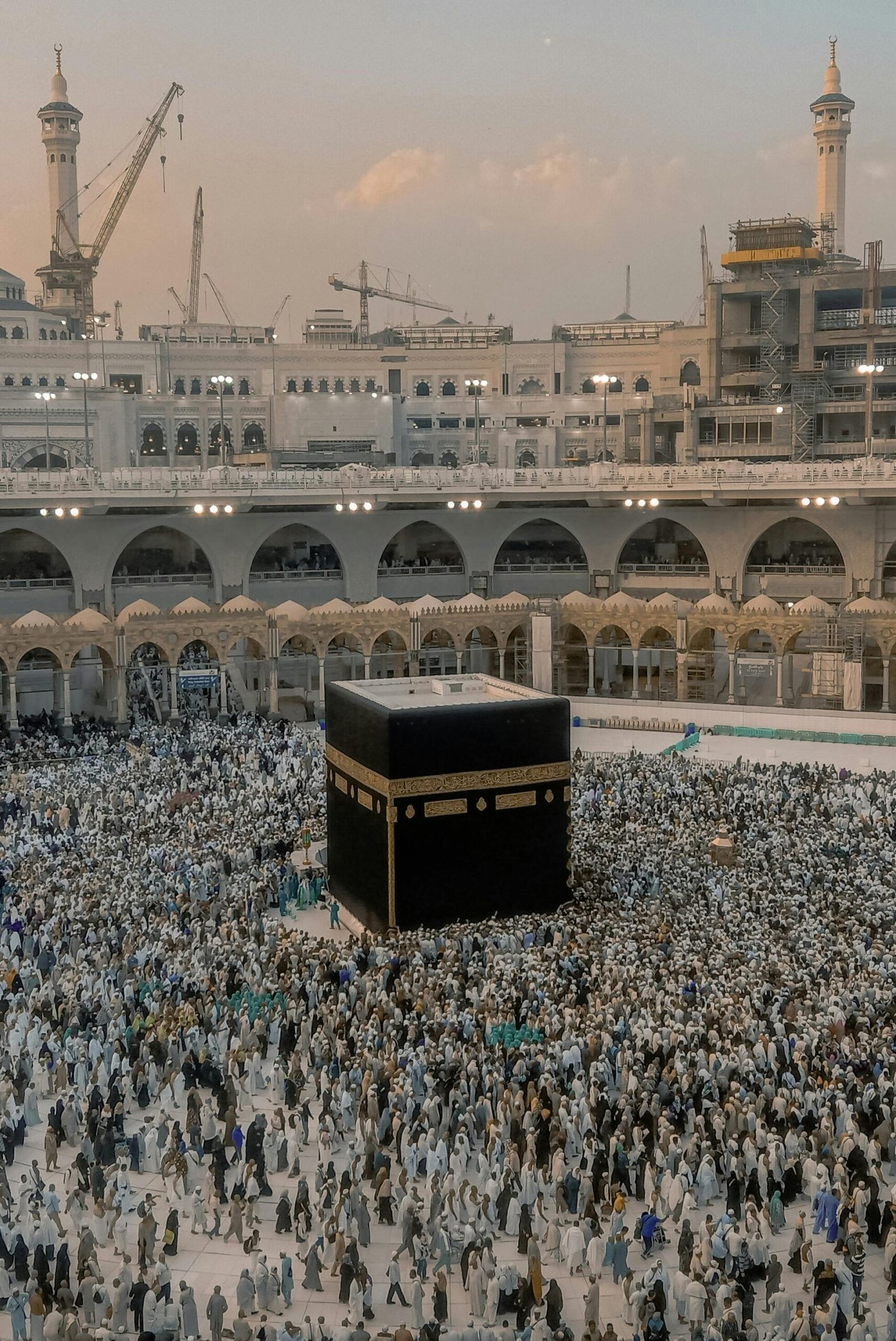 pexels-taha-elahi-12336414
