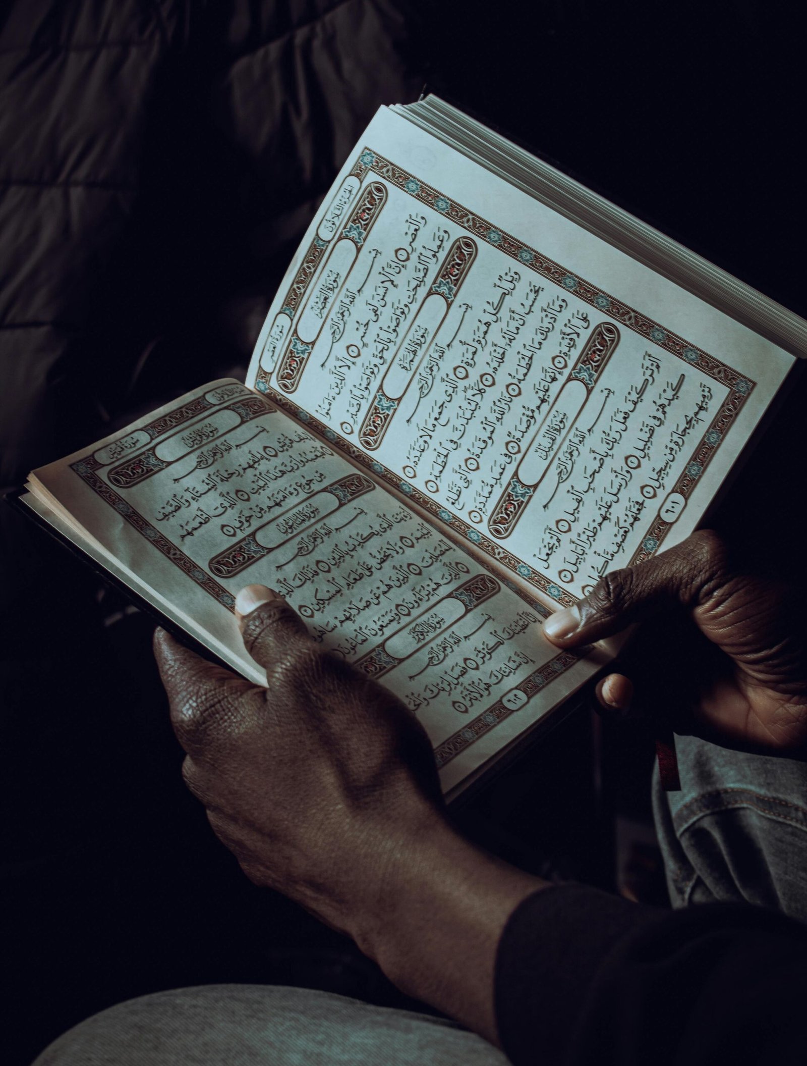 pexels-mrashid-15070484